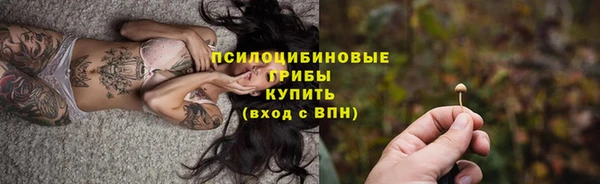 бошки Зеленодольск