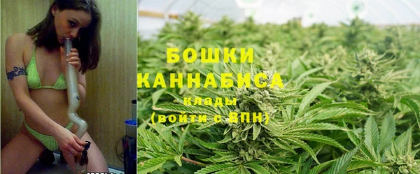 крисы Иннополис